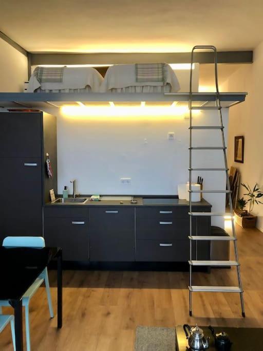Beautiful Loft With Terrace 6 Pers. Cal Apartament *